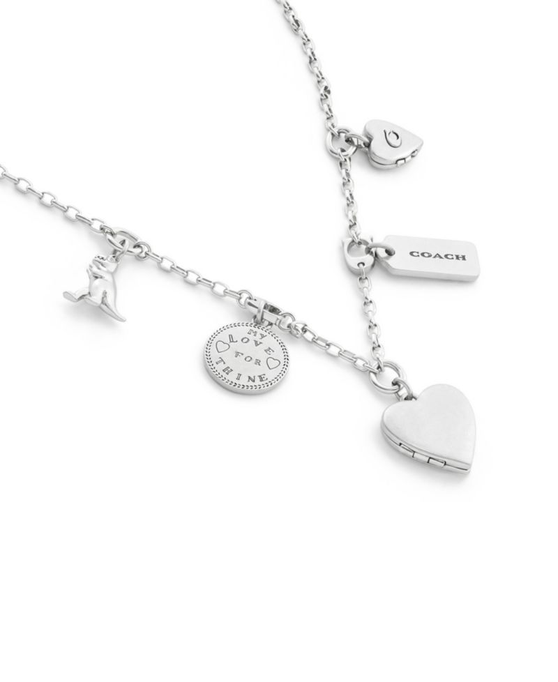 Silver Heritage Charm Bib Necklace