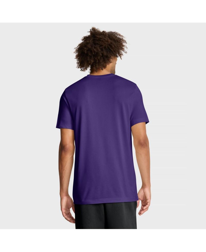 Men's Purple LSU Tigers Primetime Baseball Icon Legend Dri-FIT T-Shirt
