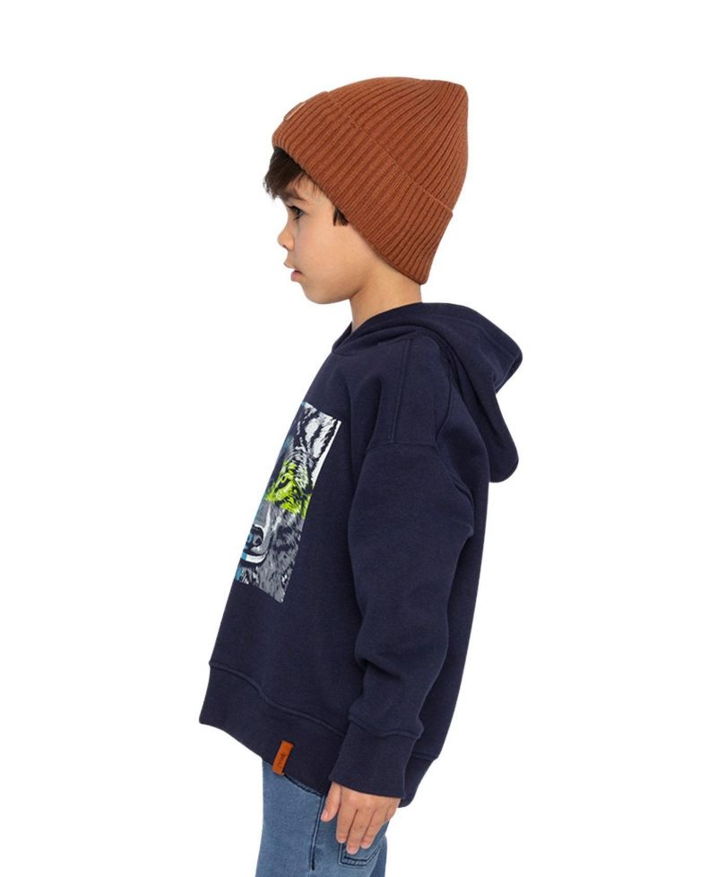 Little and Big Boy Fleece Hooded Sweatshirt