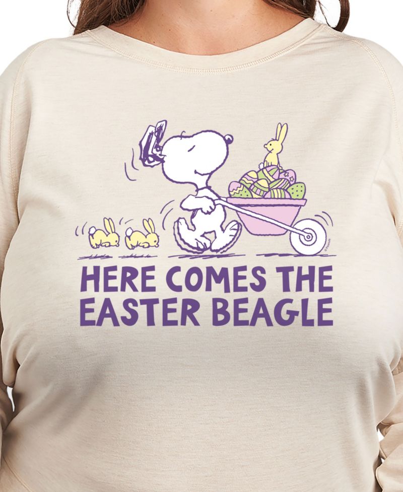 Plus Size Peanuts Snoopy Easter Beagle Graphic Pullover T-Shirt