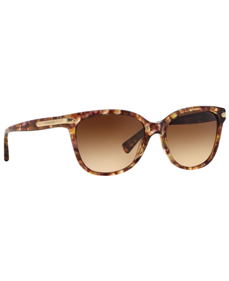 Sunglasses, HC8132