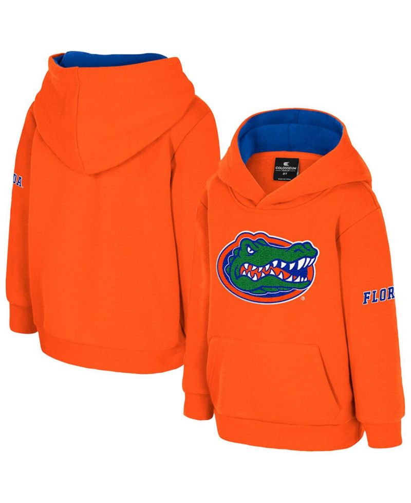 Toddler Orange Florida Gators Big Logo Volume Fleece Pullover Hoodie