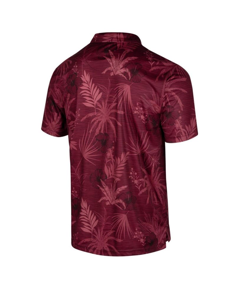 Men's Maroon Minnesota Golden Gophers Palms Team Polo Shirt