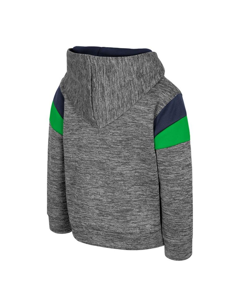 Toddler Gray Notre Dame Fighting Irish Wizard City Hoodie