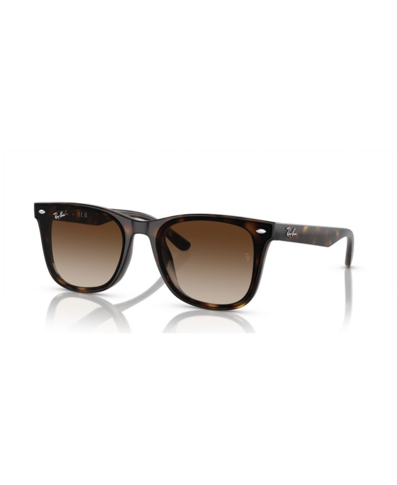 Unisex Sunglasses, Gradient RB4420