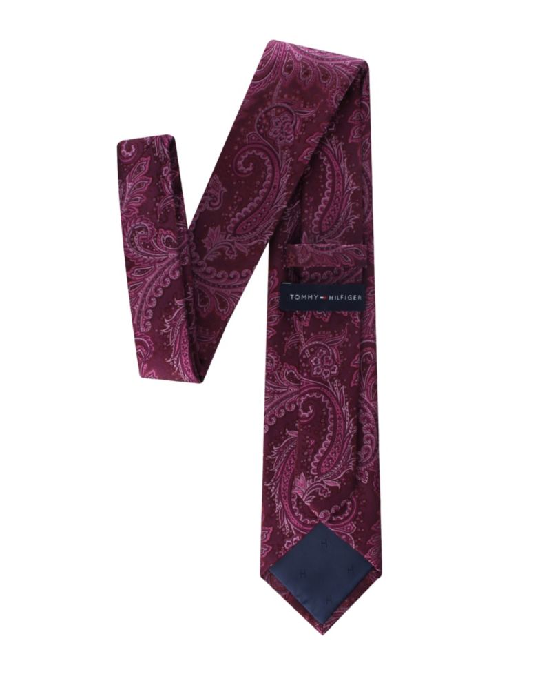 Men's Lucia Paisley Tie