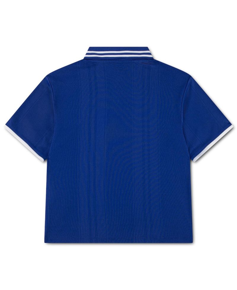 Big Boys and Girls Jordan Royal Brazil National Team Polo Shirt
