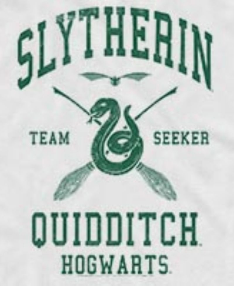 Men's Harry Potter Slytherin Quidditch Seeker Hogwarts Graphic Tank Top