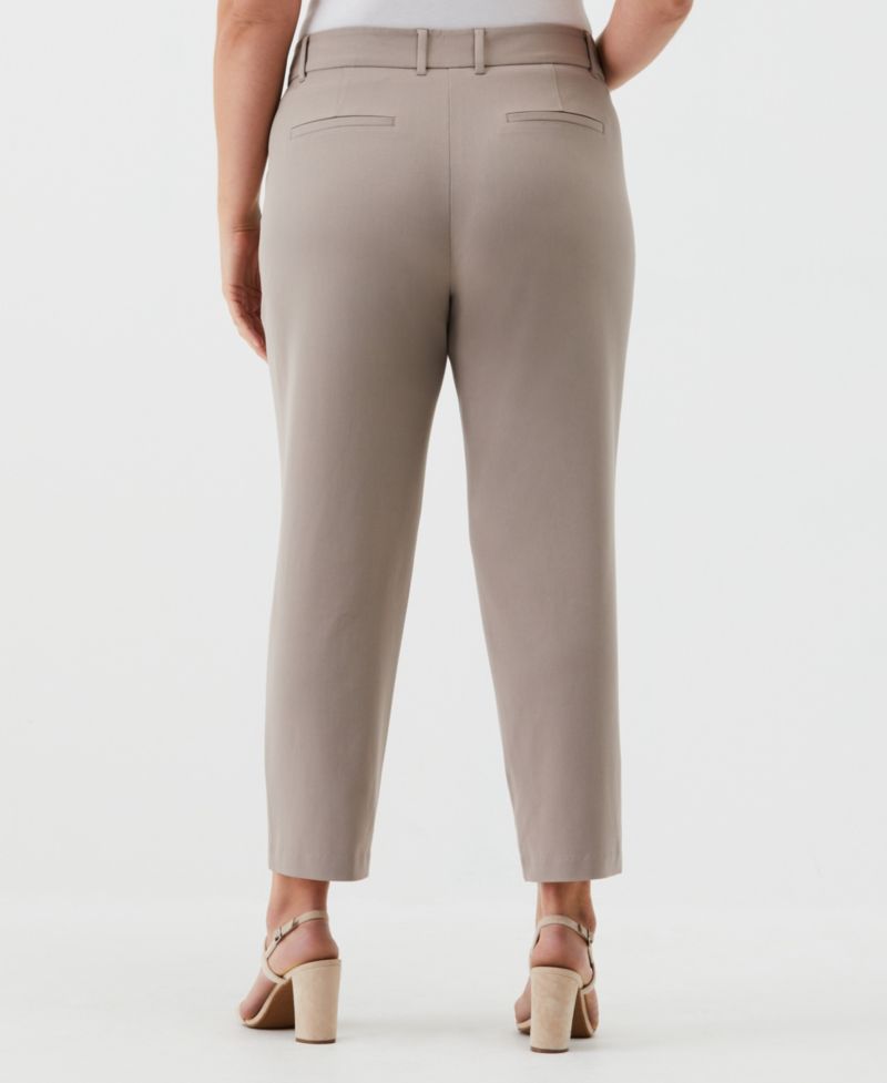 Petite Straight Leg Ankle Pants
