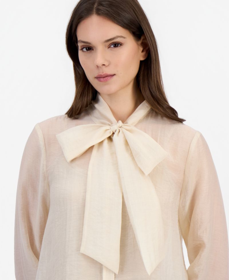 Women's Long-Sleeve Tie-Neck Chiffon Blouse