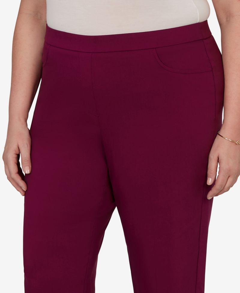 Plus Size Colored Allure Stretch Pants