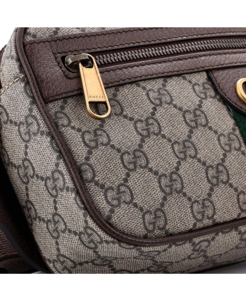 Ophidia Belt Bag