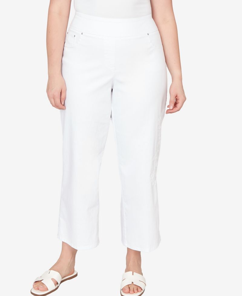 Plus Size Embroidered Stovepipe Pull On Jeans
