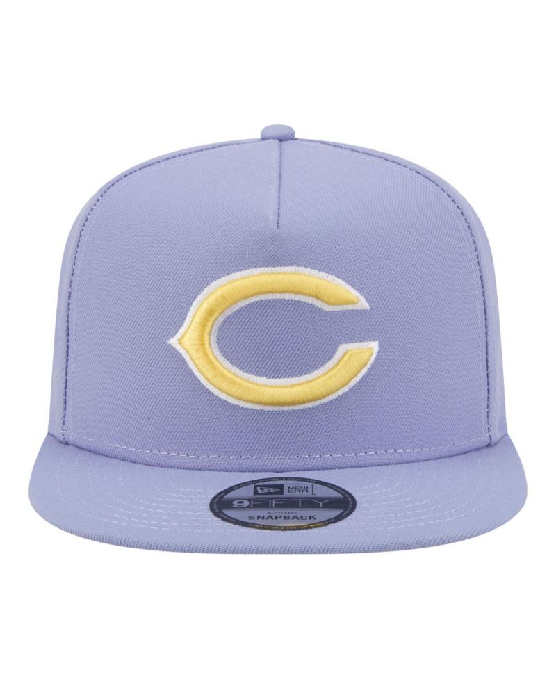 Men's Lavender Chicago Bears Bloom A-Frame 9FIFTY Snapback Hat