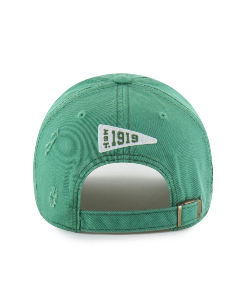 Men's Green Bay Packers Seymoore Clean Up Adjustable Hat