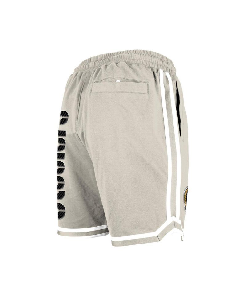 Men's Light Beige Pittsburgh Steelers Stone Multi Patch Shorts
