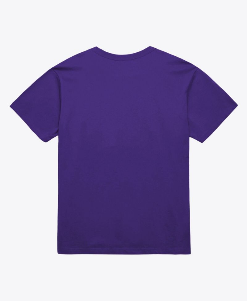 Men's and Women's Purple Toronto Raptors Hardwood Classics Arch T-Shirt
