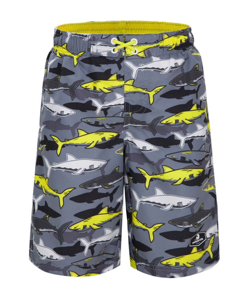 Shark Fin