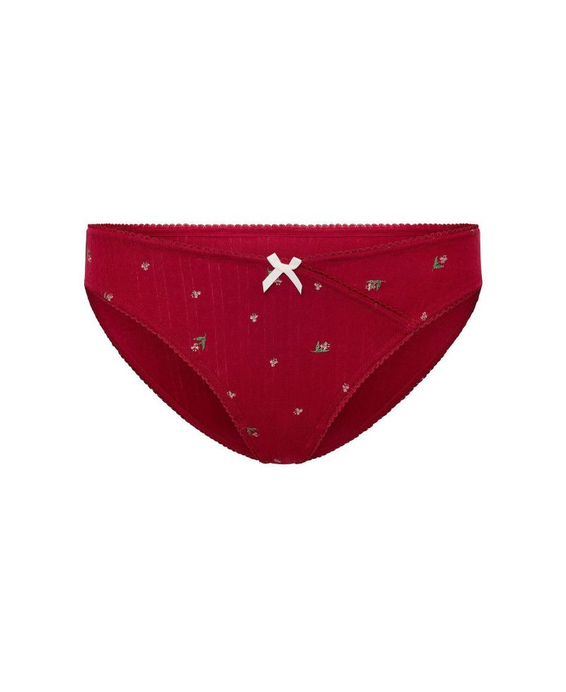 Plus Size Minah Bikini Panty