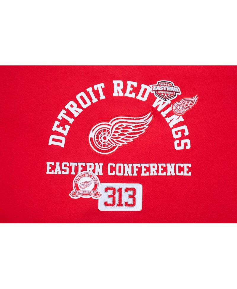 Women's Red Detroit Red Wings Area Code Cropped Pullover Sweatshirt
