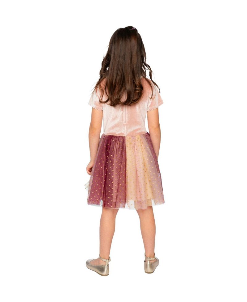 Little and Big Girl (6-14) Bi-Material Dress with Gradient Print Skirt