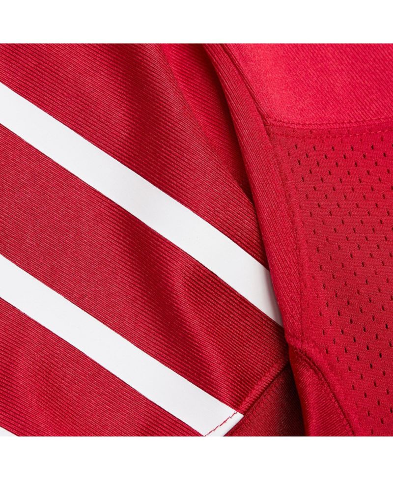 Men's Aeneas Williams Cardinal Arizona Cardinals 1994 Authentic Throwback Retired Player Jersey