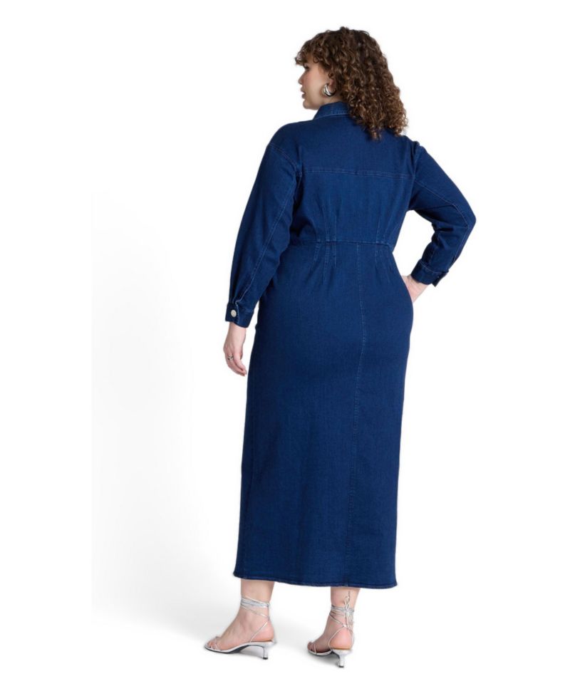 Women's Denim Fitted Dress