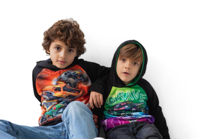 Little Boys Fleece Pullover Hoodie