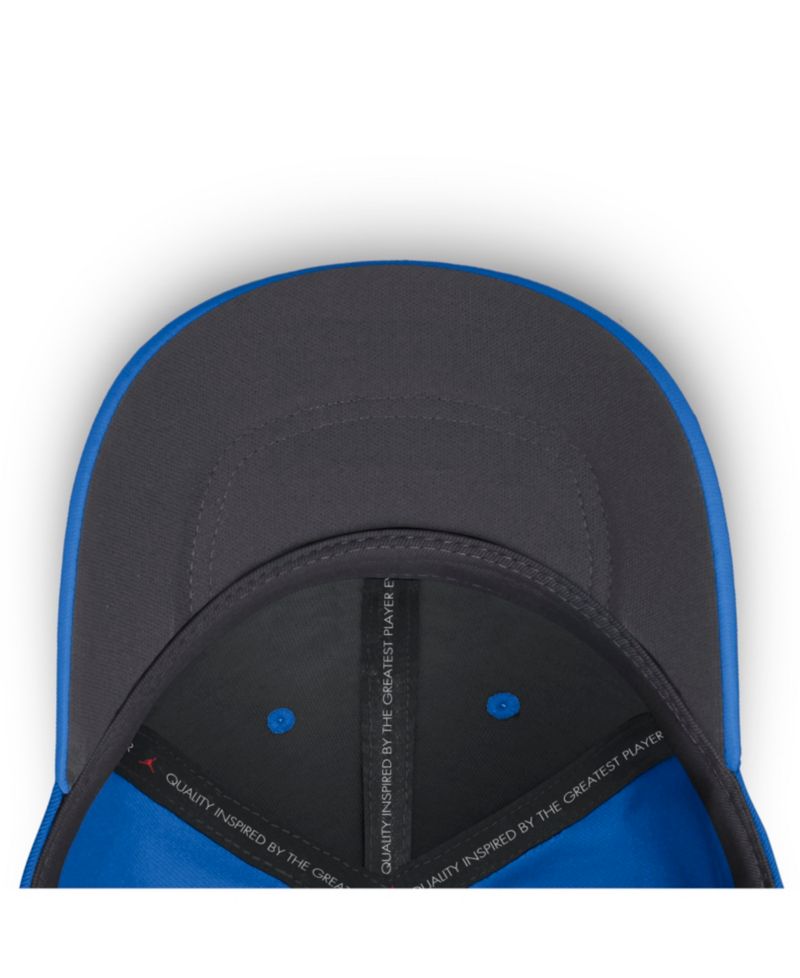Men's Blue UCLA Bruins Gameday Aerobill Swooshflex Dri-FIT Hat