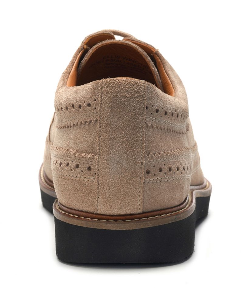 Men's Ellis Wingtip Lace-Up Shoe
