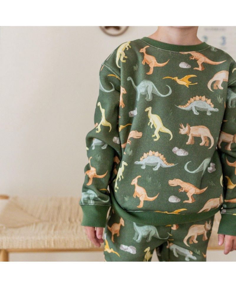 Big Boys (10-12) Dinosaurs Rock Sweatshirt