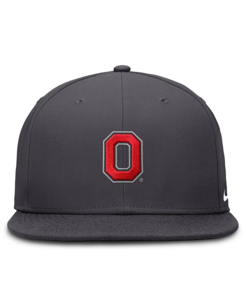 Men's Anthracite Ohio State Buckeyes Pro Dri-FIT Fitted Hat