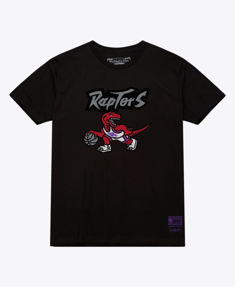 Men's and Women's Mitchell Ness Black Toronto Raptors Hardwood Classics Arch T-Shirt