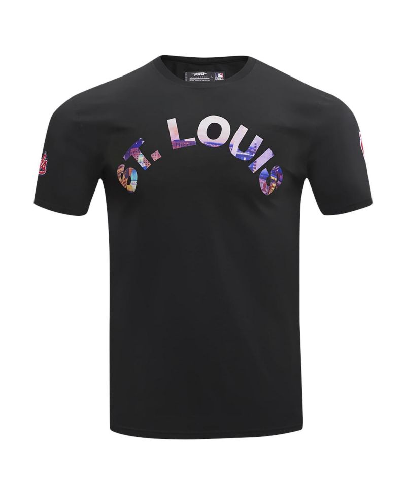 Men's Black St. Louis Cardinals Cityscape T-Shirt