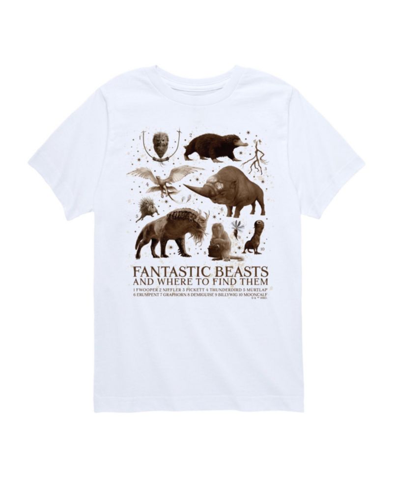 Big Boys Harry Potter Fantastic Beasts Graphic Tee