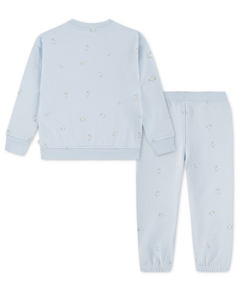 Toddler Girls' 2T-5T Sweatshirt and Pants, 2-Piece Set
