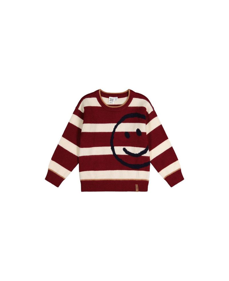 Little Boys (6Y - 12Y) Knit Sweater