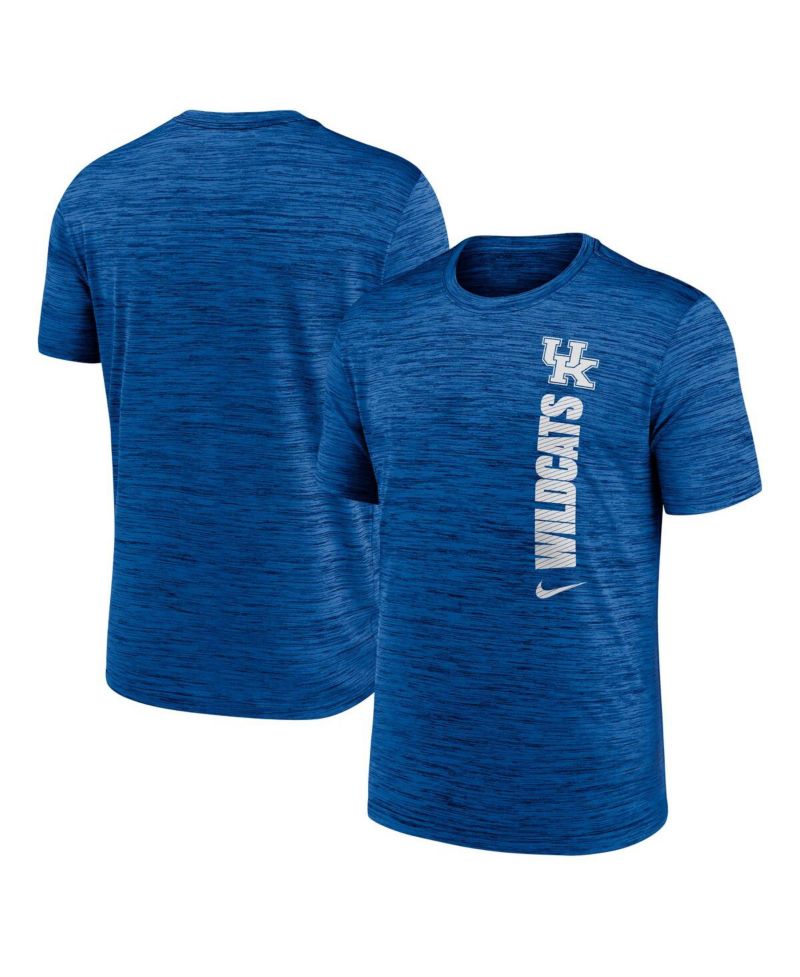 Men's Royal Kentucky Wildcats 2024 Sideline Velocity Performance T-Shirt