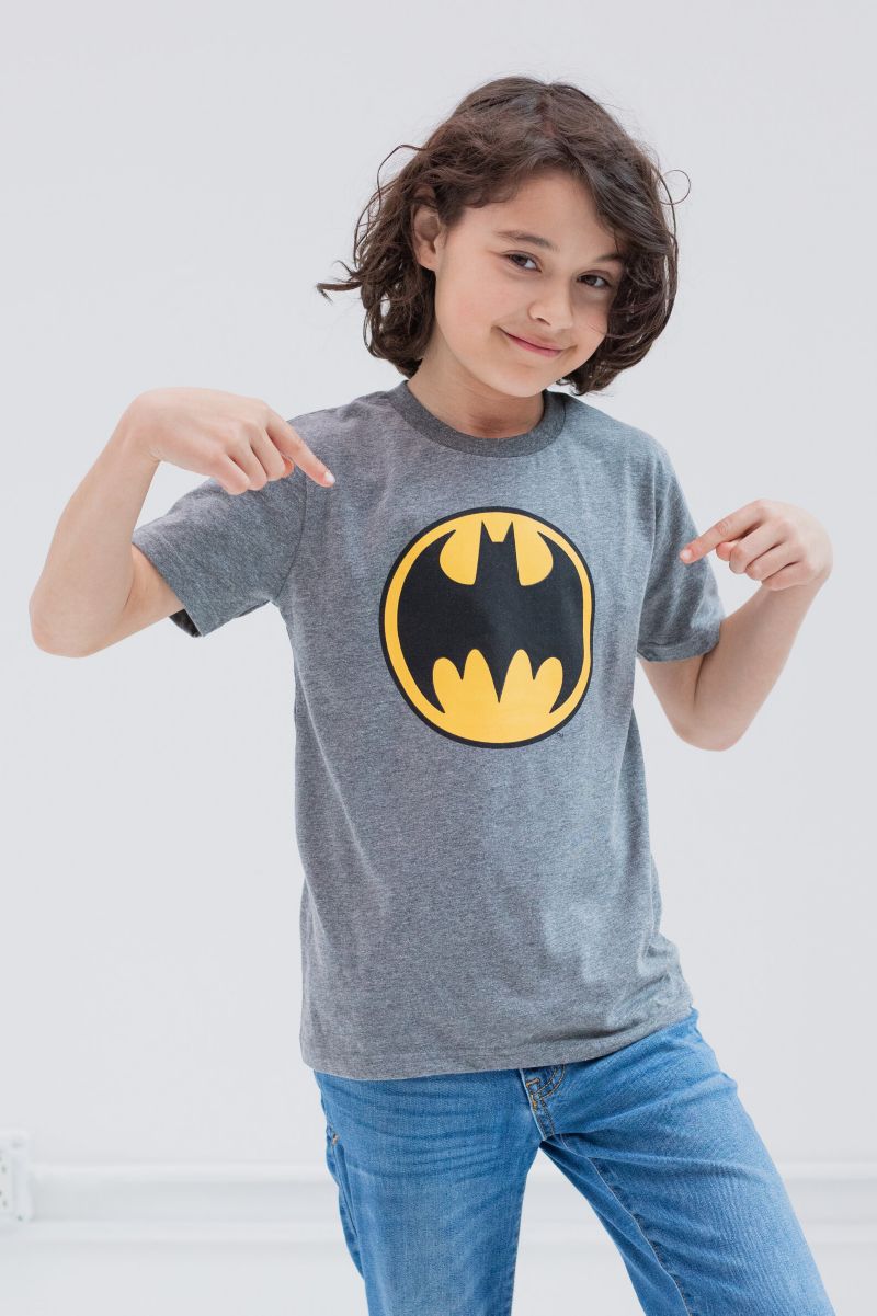 Toddler Boys DC Comics Batman Superman The Flash 3 Pack T-Shirts
