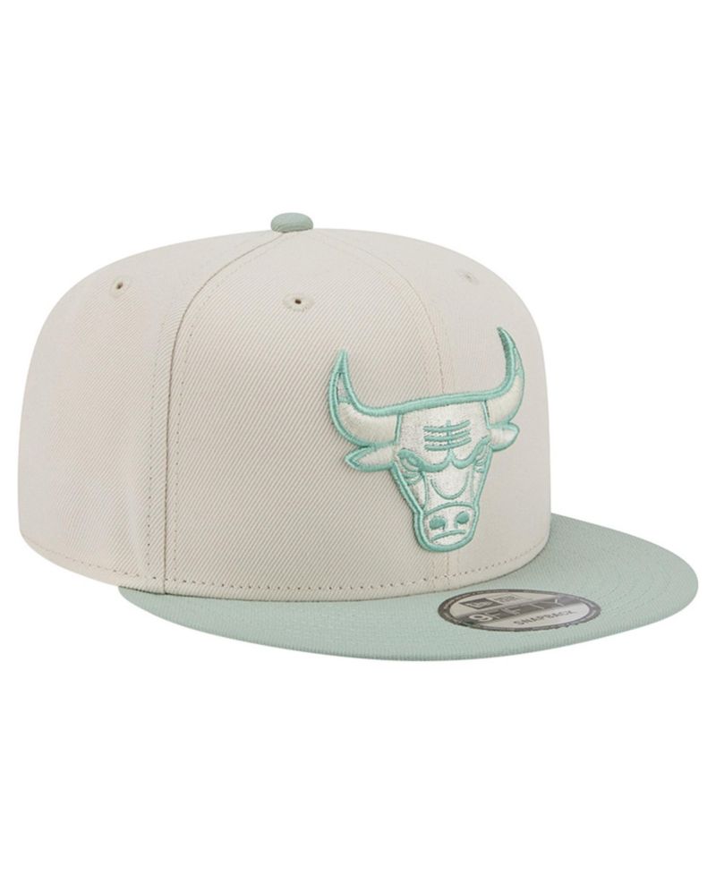 Men's Cream/Light Green Chicago Bulls Color Pack 9FIFTY Snapback Hat