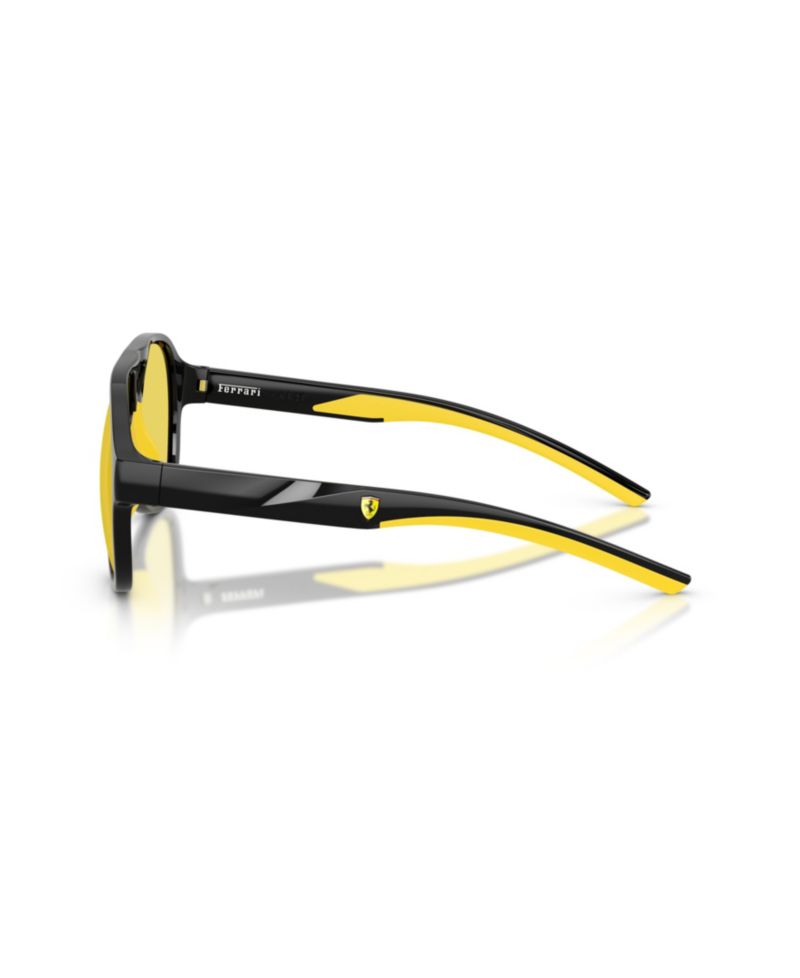 Unisex Sunglasses, FZ6014U
