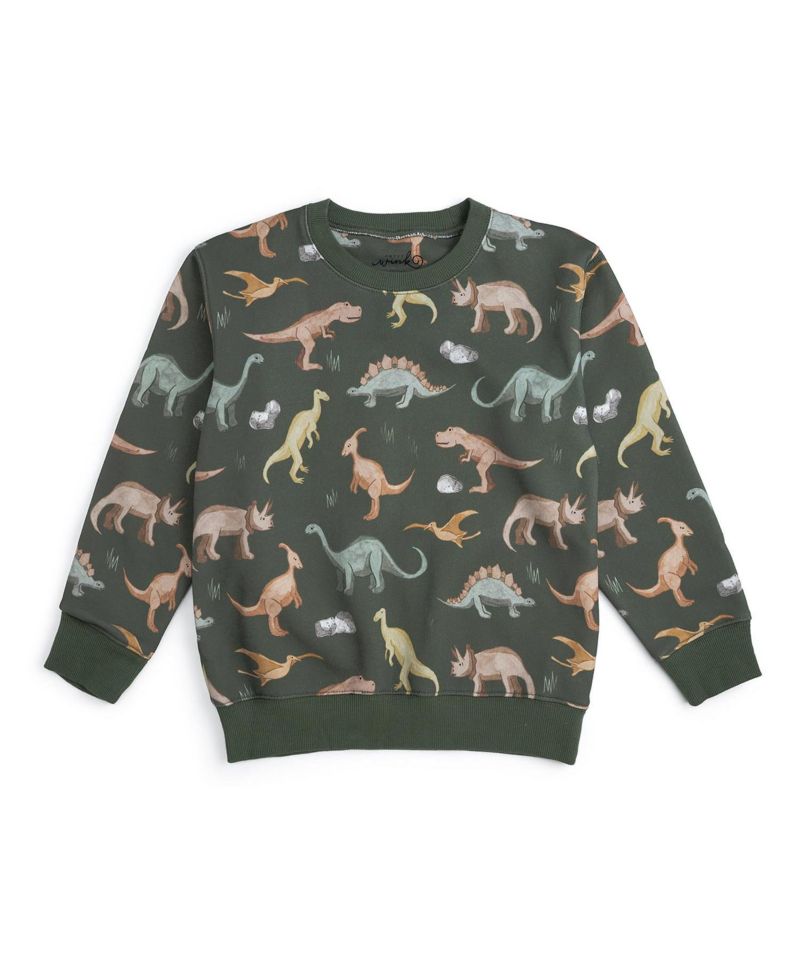 Big Boys (10-12) Dinosaurs Rock Sweatshirt