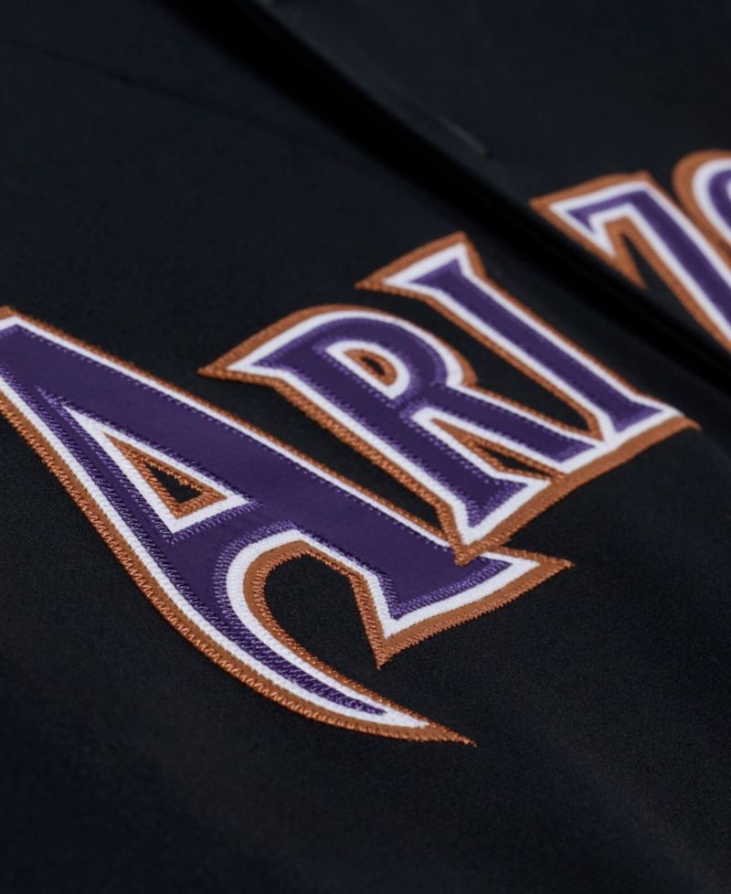 Men's Randy Johnson Black Arizona Diamondbacks 2001 Authentic Jersey