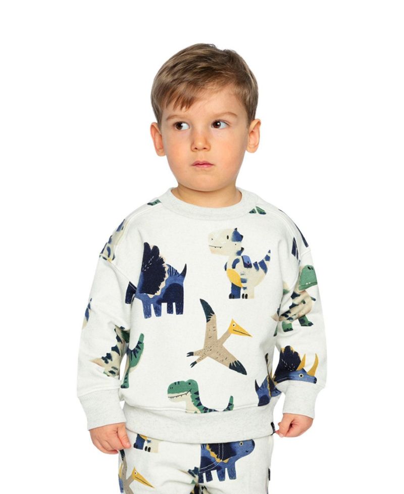 Little Boys (6-8) Fleece Sweatshirt Dinosaur Print