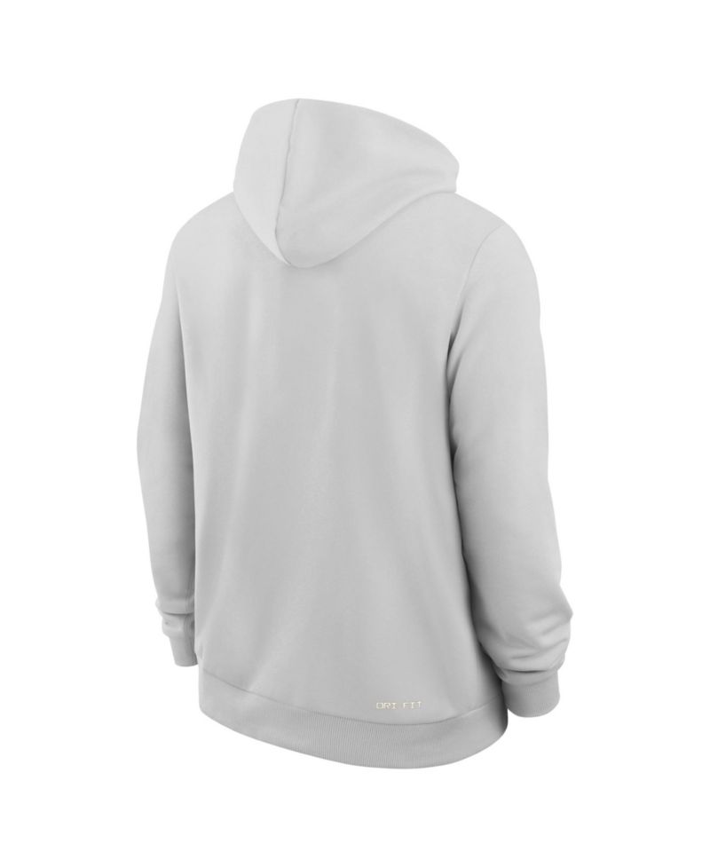 Men's Gray Iowa State Cyclones 2026 Sideline Standard Issue Dri-FIT Hoodie