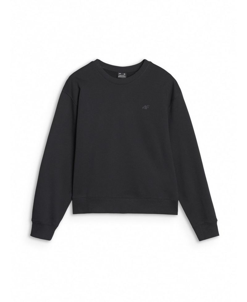 Women's Pullover Basic Sweatshirt Without Hood
