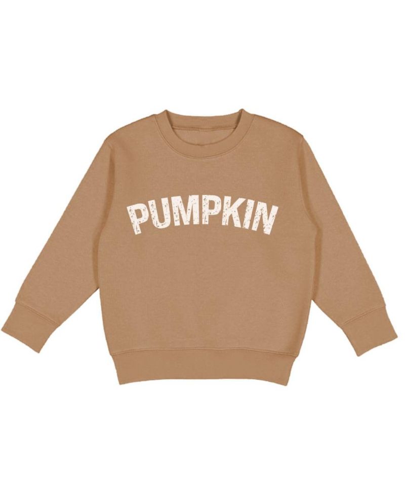 Little and Big Boys Pumpkin Sweatshirt