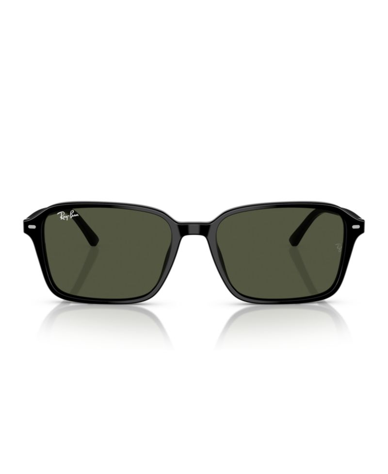 Unisex Polarized Raimond Sunglasses, RB2231F