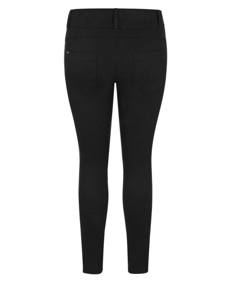 Plus Size Asha Fit Skinny Leg Regular Jean