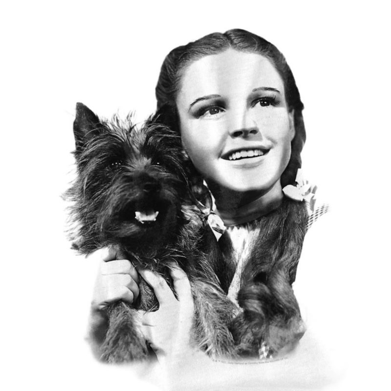 Men's The Dorothy And Toto T-Shirt